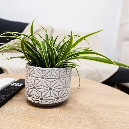 Hermes-modern Comfort In Apartment *