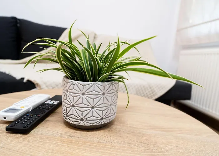 Hermes-modern Comfort In Apartment *